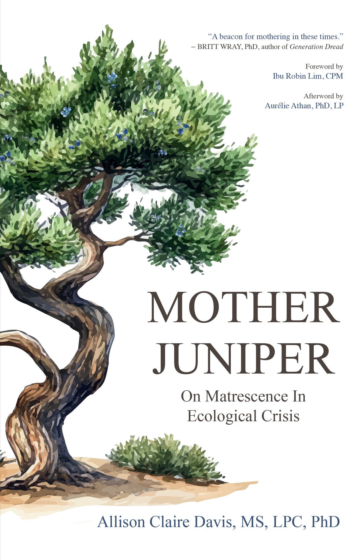 Mother Juniper: On Matrescence in Ecological Crisis