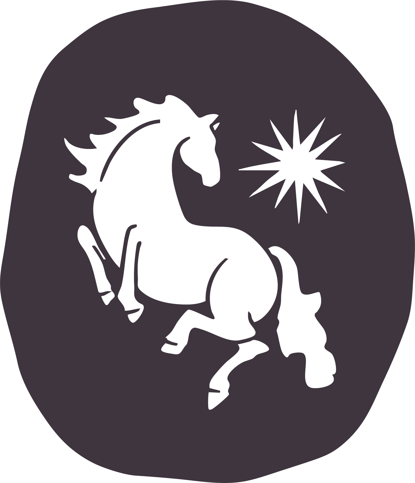 9th House Press Bookstore